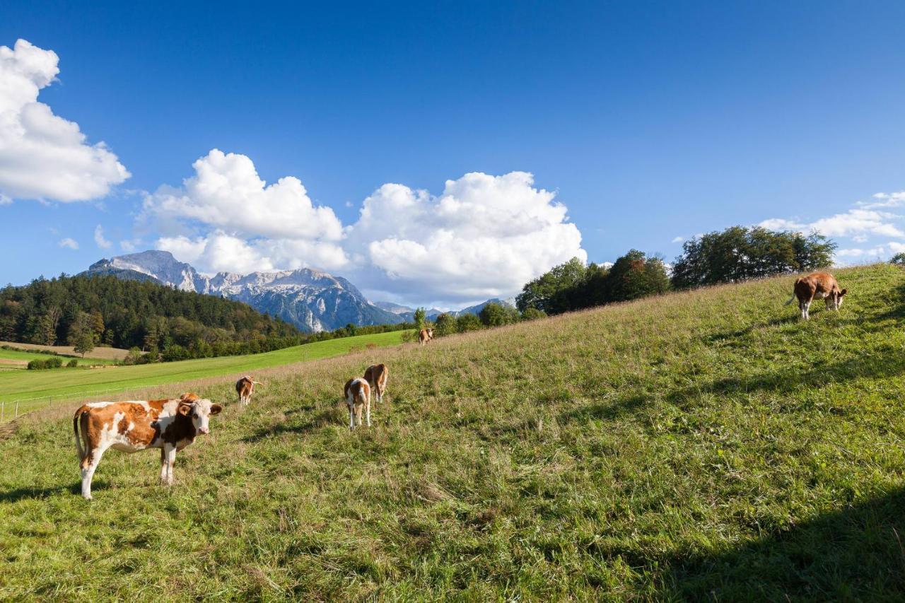 Pension Elvira Bischofswiesen Esterno foto